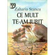 Ce mult te-am iubit