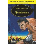 Frankenstein - Mary Shelley