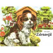 Zdreanta