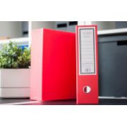 Biblioraft albo + cutie de protectie, rosu (303030)