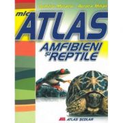 Mic atlas Amfibieni si reptile – Aurora Mihail, Dumitru Murariu Enciclopedii Dictionare si Atlase imagine 2022