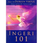 Ingeri 101 - introducere in stabilirea legaturii, lucrarea si vindecarea cu ingeri