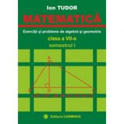 MATEMATICA. Clasa a VII-a, Semestrul I. Exercitii si probleme de algebra si geometrie – Ion Tudor librariadelfin.ro
