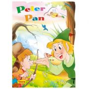 Peter Pan - Poveste cu ferestre (6802)
