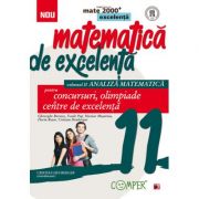 Matematica de excelenta pentru concursuri, olimpiade si centre de excelenta - clasa a xi-a volumul ii