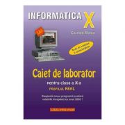 Caiet de laborator pentru clasa a 10-a. Profil real-INFORMATICA – Carmen Minca librariadelfin.ro imagine 2022