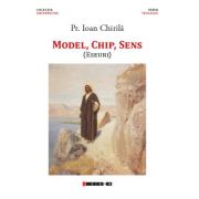 Model, chip, sens - pr. ioan chirila