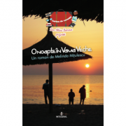 O noapte in vama veche - dan-silviu boerescu