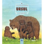 Ursul – Renne librariadelfin.ro