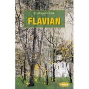 Flavian – Alexandru Torik librariadelfin.ro