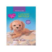 O casa pentru molly - holly webb