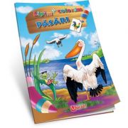 Lipim si coloram. pasari
