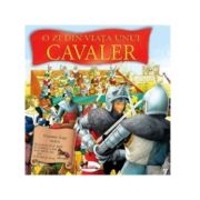 O zi din viata unui cavaler