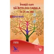 Invata cum sa intelegi Cabala in 21 de zile – David Wells librariadelfin.ro