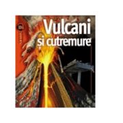Vulcani si cutremure – Ken Rubin librariadelfin.ro