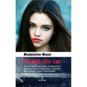 Picata din cer – Madeleine Moon librariadelfin.ro