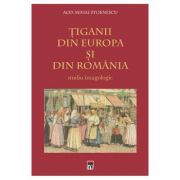 Tiganii din Europa si din Romania - Alex Mihai Stoenescu