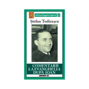 Comentarii la Evanghelia dupa Ioan – Stefan Todirascu de la librariadelfin.ro imagine 2021