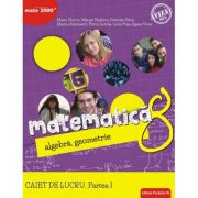 Matematica. algebra, geometrie. caiet de lucru. clasa a 8-a. consolidare. partea i