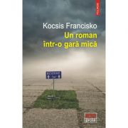 Un roman intr-o gara mica - kocsis francisko