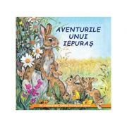 Aventurile unui iepuras - Sa cunoastem lumea inconjuratoare!