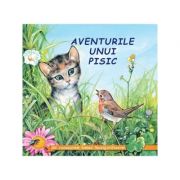 Aventurile unui pisic - Sa cunoastem lumea inconjuratoare!
