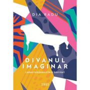 Divanul imaginar – Lumea romaneasca in 18 interviuri – Dia Radu de la librariadelfin.ro imagine 2021