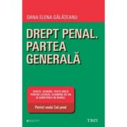 Drept penal. Partea generala. Schite, scheme, tese grila pentru licenta, examene de an si adimiterea in barou. Potrivit noului Cod penal - Oana Elena 