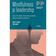 Mindfulness si leadership. Cum sa-ti resetezi mintea pentru excelenta, fara sa-ti aglomerezi programul - Matt Tenney