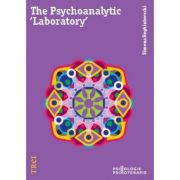 The Psychoanalytic ‘Laboratory’ – Simona Reghintovschi Stiinte. Stiinte Umaniste. Psihologie. Curs imagine 2022