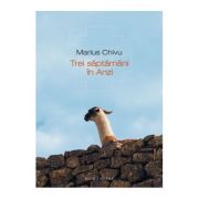 Trei saptamani in Anzi - Marius Chivu