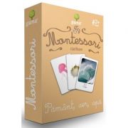 Carti de joc Montessor. Clasificare. Pamant, aer, apa