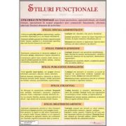 Stiluri functionale – Plansa, format 700×1000 mm, cu sipci (LR24) Enciclopedii Dictionare si Atlase. Atlase, Harti de perete si Planse tematice imagine 2022