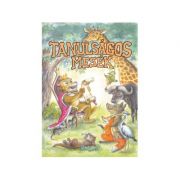Tanulsagos mesek