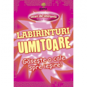 Jocuri de inteligenta - Labirinturi uimitoare - Gaseste o cale spre iesire!