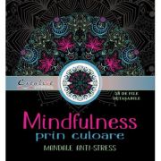 Mindfulness prin culoare. Mandale anti-stres. 28 de file detasabile librariadelfin.ro