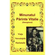 Minunatul Parinte Vitalie (Georgianul)- viata, nevointele, harismele
