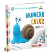 Numero Color. Initiat. Carte de colorat dupa numere