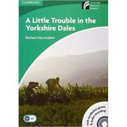 A little trouble in the yorkshire dales - richard macandrew, level 3 (books and cd)