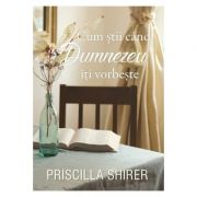 Cum stii cand Dumnezeu iti vorbeste - Priscilla Shirer