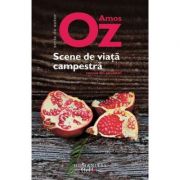 Aceasta este imaginea corespunzatoare acestui obiect
