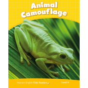 Level 6. Animal Camouflage CLIL - Caroline Laidlaw