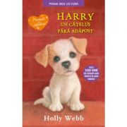 Harry, un catelus fara adapost. prima mea lectura - holly webb