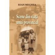 Scene din viata unui provincial - Ioan Meghea