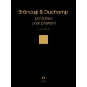 Brancusi si Duchamp sau povestea unei prietenii. Corespondenta librariadelfin.ro