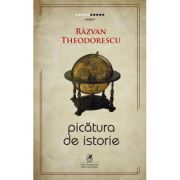 Picatura de istorie – Razvan Theodorescu librariadelfin.ro
