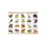 Plansa: Animale domestice – Animale salbatice Enciclopedii Dictionare si Atlase. Atlase, Harti de perete si Planse tematice imagine 2022