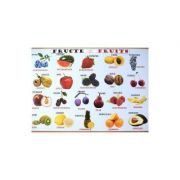 Plansa: Fructe – Legume librariadelfin.ro