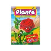 Plante si flori frumoase - distractie in culori