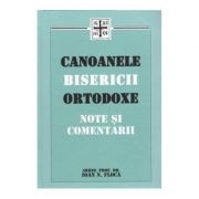 Canoanele bisericii ortodoxe - Arhim. prof. dr. Ioan. N. Floca